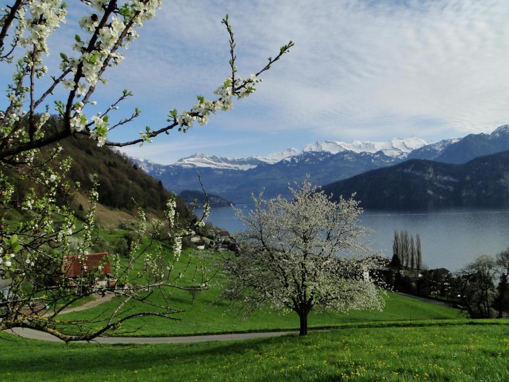 Seehotel Gotthard Weggis Zewnętrze zdjęcie